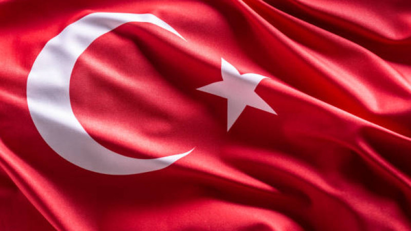 Alanya'da Türk bayrağını yere atan kadının akli dengesi bozuk çıktı